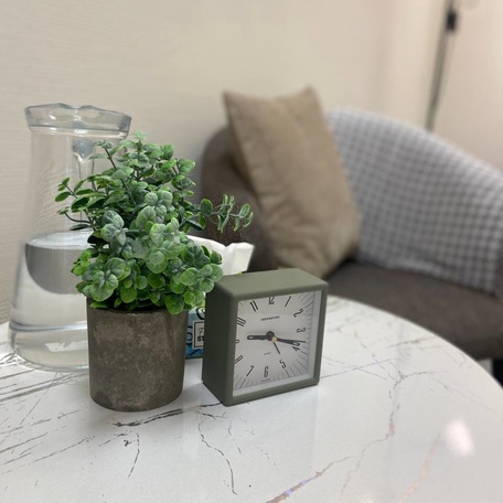 "Вена" (СПб, Спасский переулок 14/35)